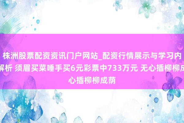 株洲股票配资资讯门户网站_配资行情展示与学习内容解析 须眉买菜唾手买6元彩票中733万元 无心插柳柳成荫