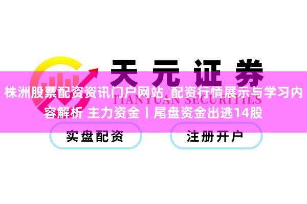 株洲股票配资资讯门户网站_配资行情展示与学习内容解析 主力资金丨尾盘资金出逃14股