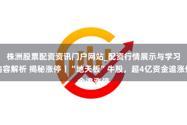 株洲股票配资资讯门户网站_配资行情展示与学习内容解析 揭秘涨停丨“地天板”牛股，超4亿资金追涨停