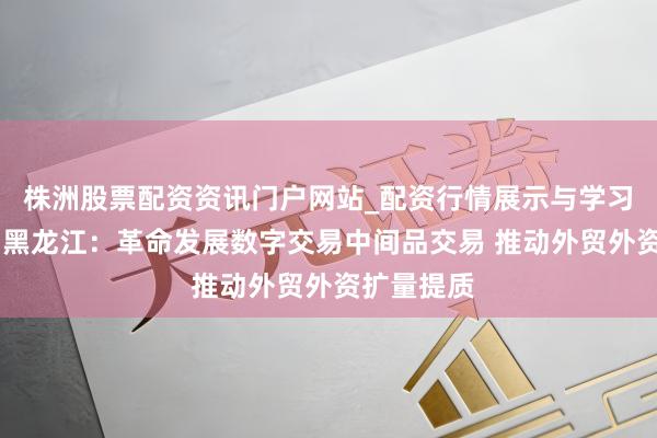 株洲股票配资资讯门户网站_配资行情展示与学习内容解析 黑龙江：革命发展数字交易中间品交易 推动外贸外资扩量提质