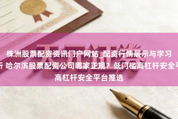 株洲股票配资资讯门户网站_配资行情展示与学习内容解析 哈尔滨股票配资公司哪家正规？低门槛高杠杆安全平台推选