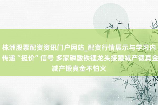 株洲股票配资资讯门户网站_配资行情展示与学习内容解析 传递“挺价”信号 多家磷酸铁锂龙头接踵减产锻真金不怕火